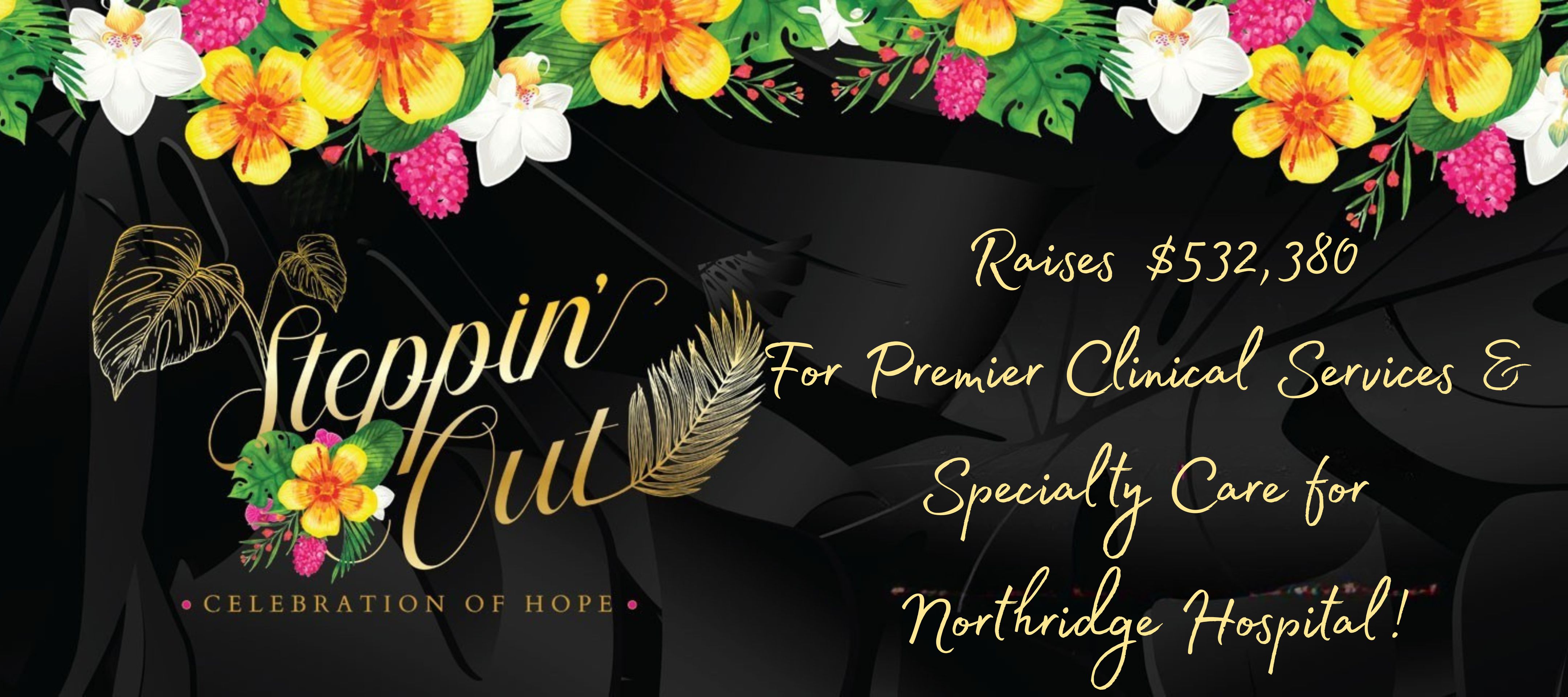 SO 2025 Raises 532,380 Web Banner post event