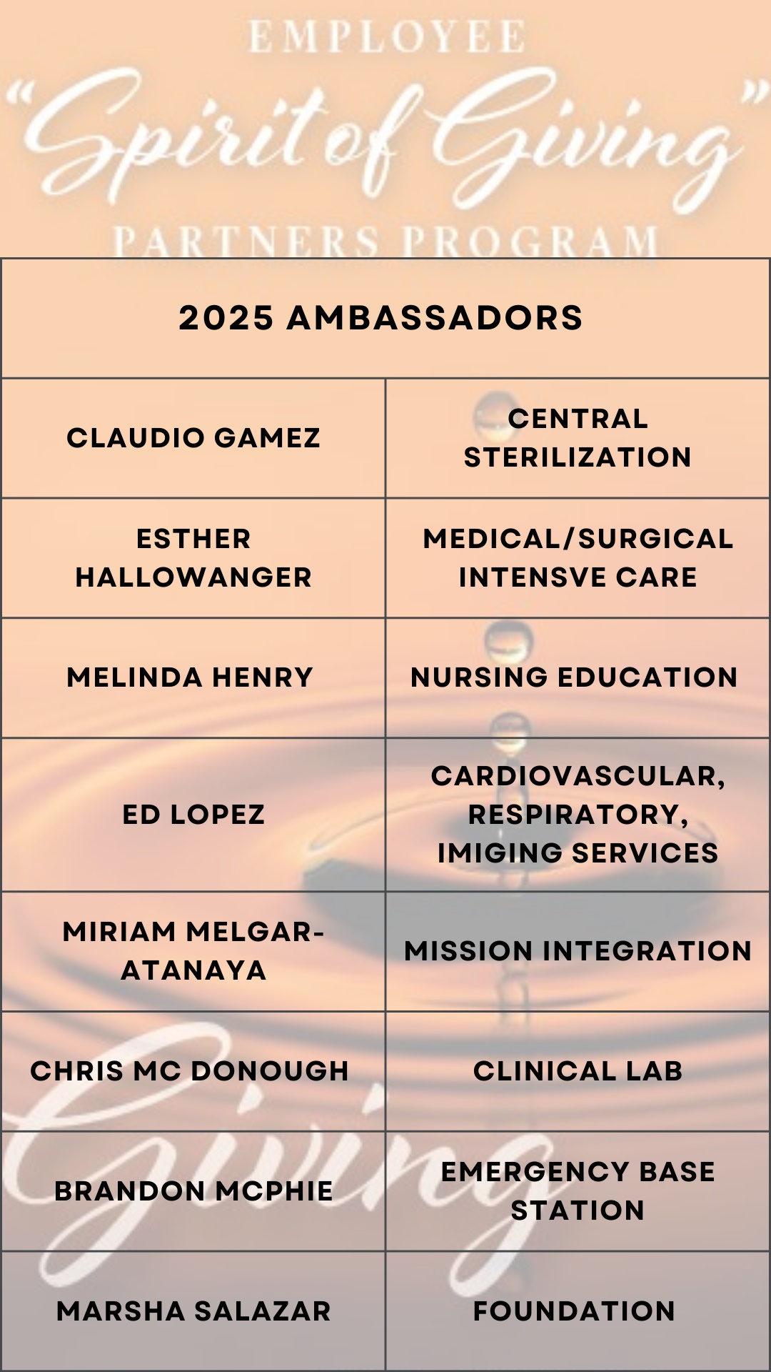 Ambassadors